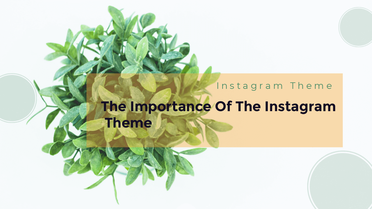 Featured image of post Instagram Themes Dividers Green Featured with hundreds of theme options