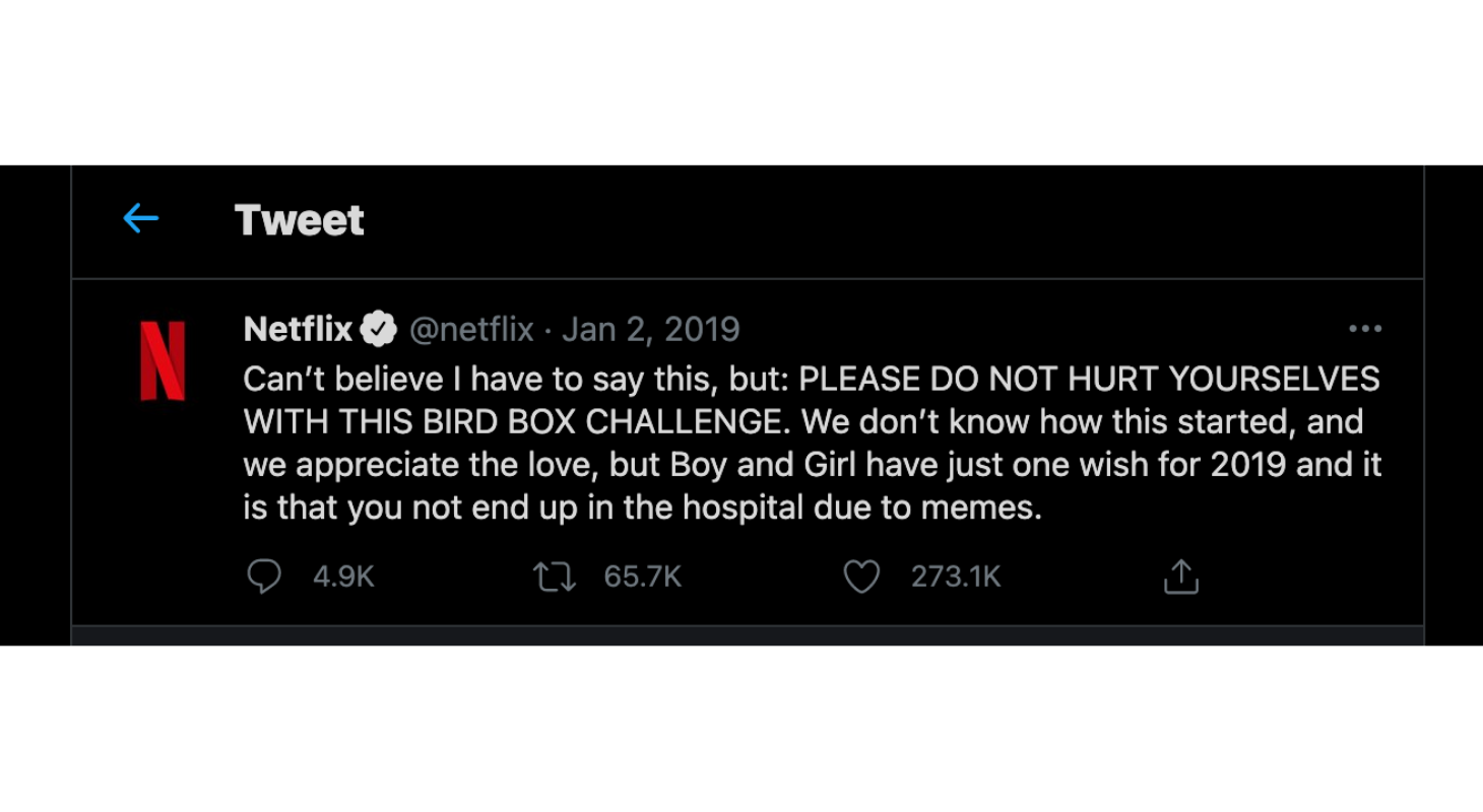 Netflix posting about Bird Box