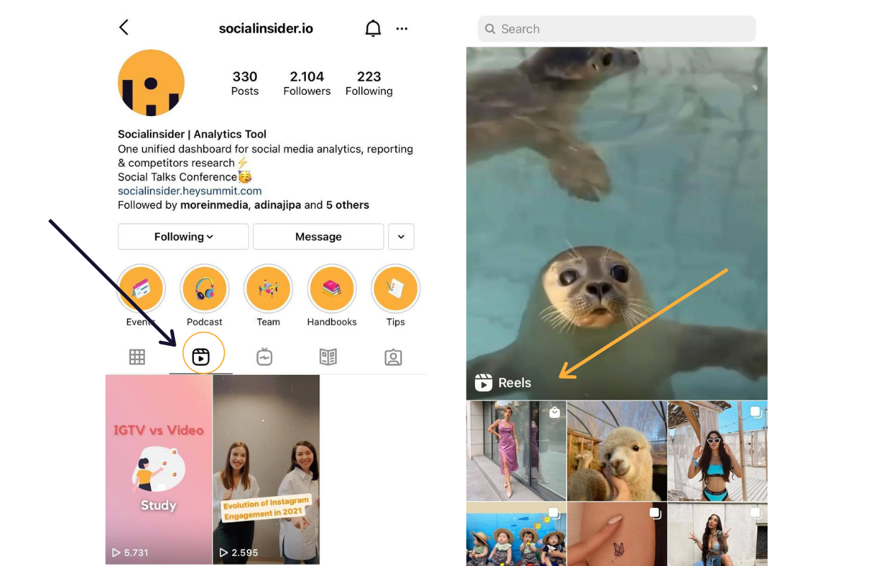 Instagram Reels For Your Business: The Ultimate Guide - Red Mention
