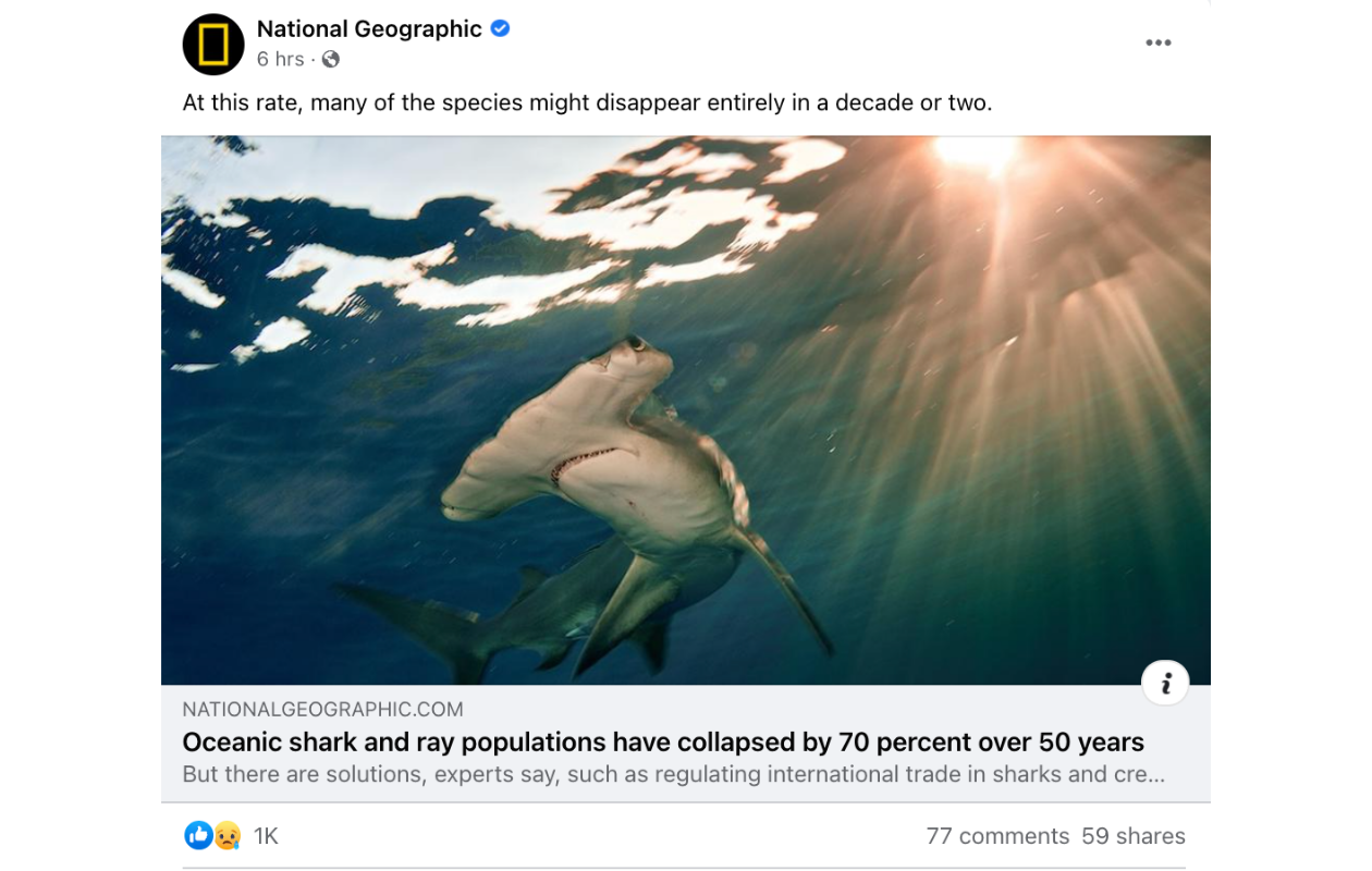 Here's an example of what kind of content National Geographic posts on Facebook.