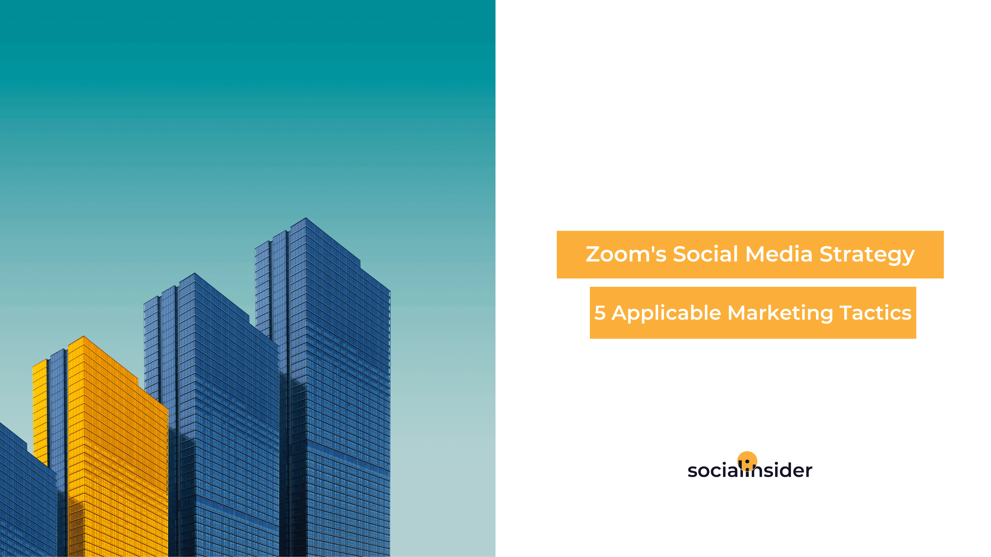 Applicable Insights From Zoom s Marketing Strategy Socialinsider