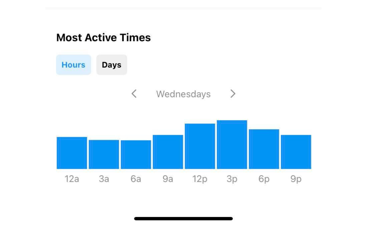 This image shows audience insights found in Instagram.