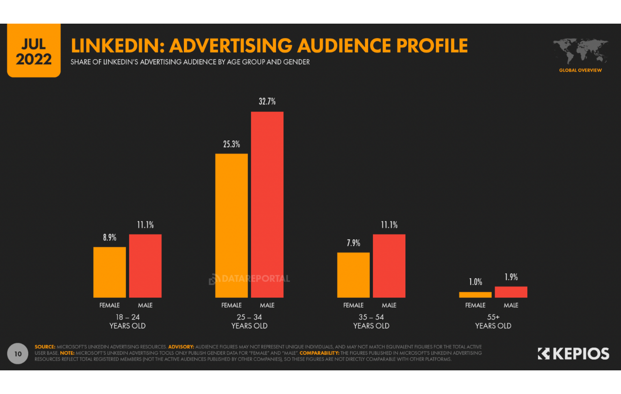 A graphic about linkedin advertising audience profile