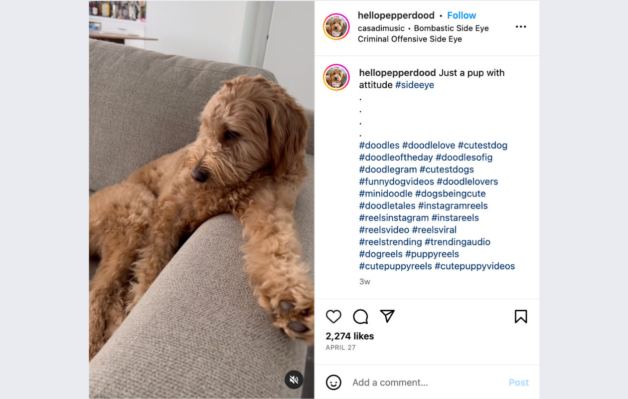 a screenshot with an instagram reel trend called bombastic side eye