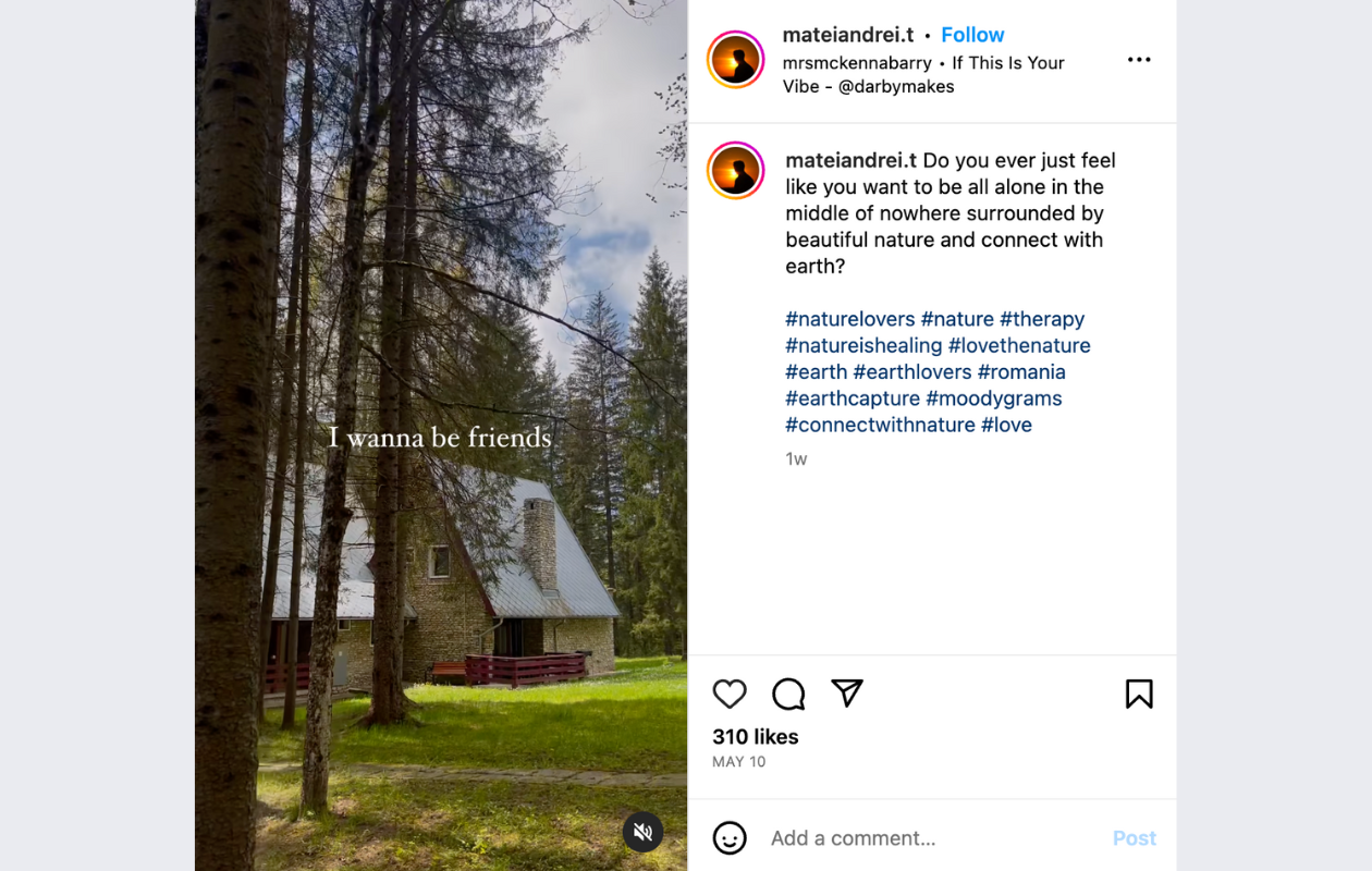 a screenshot with an instagram reel trend called if this is your vibe