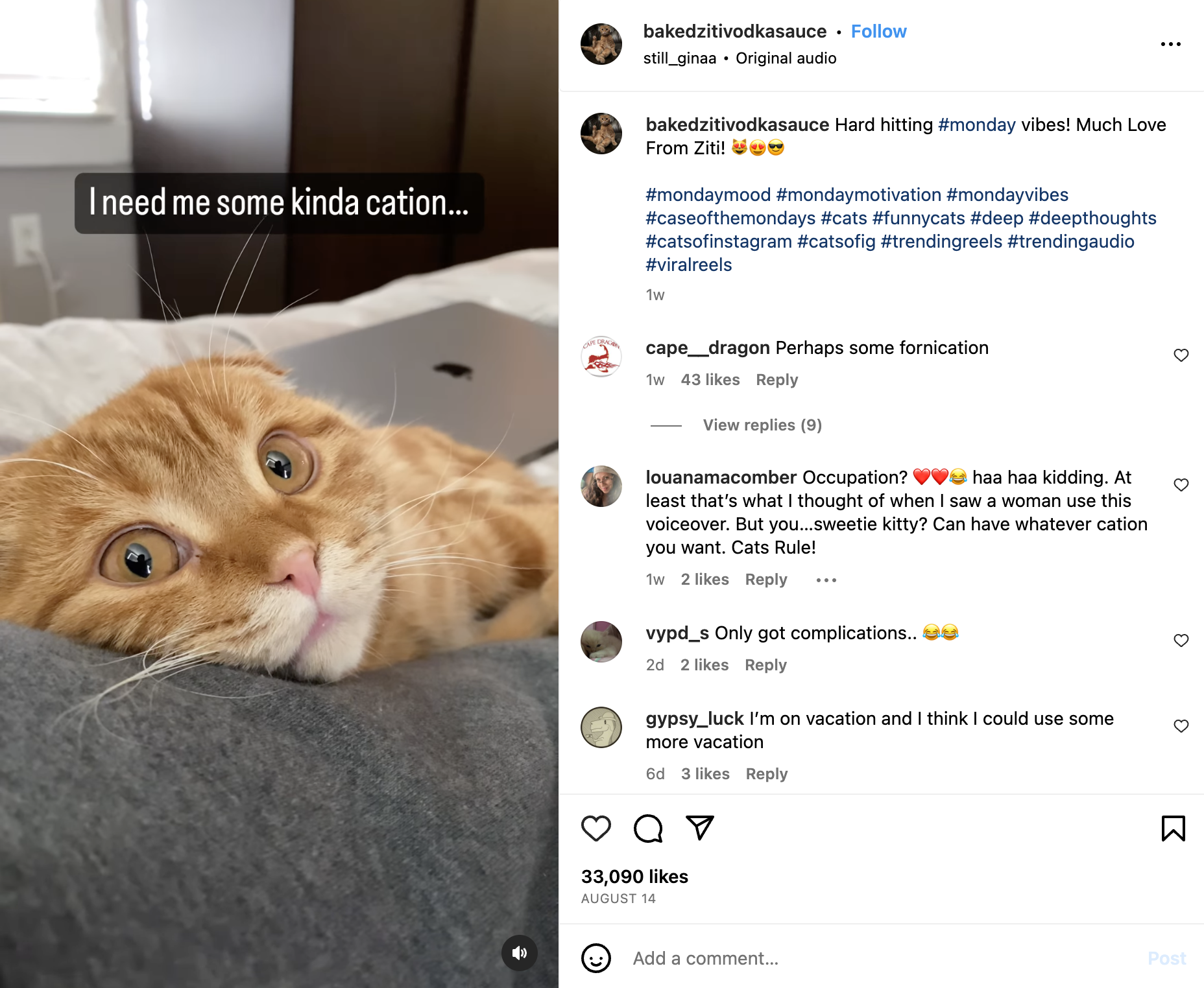 screenshot from a reel showing an orange cat on a counch