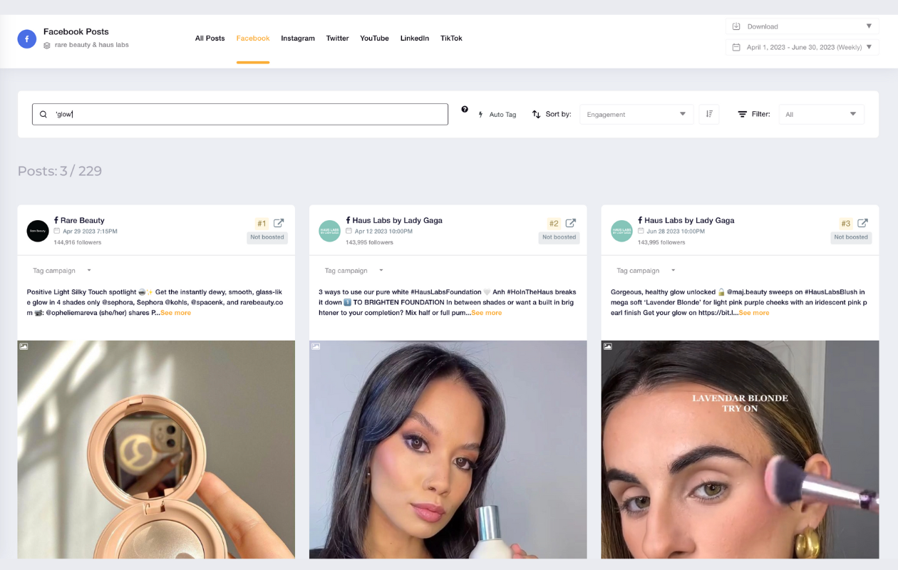 screenshot from socialinsider with tagged campaign in posts from rare beauty and haus labs