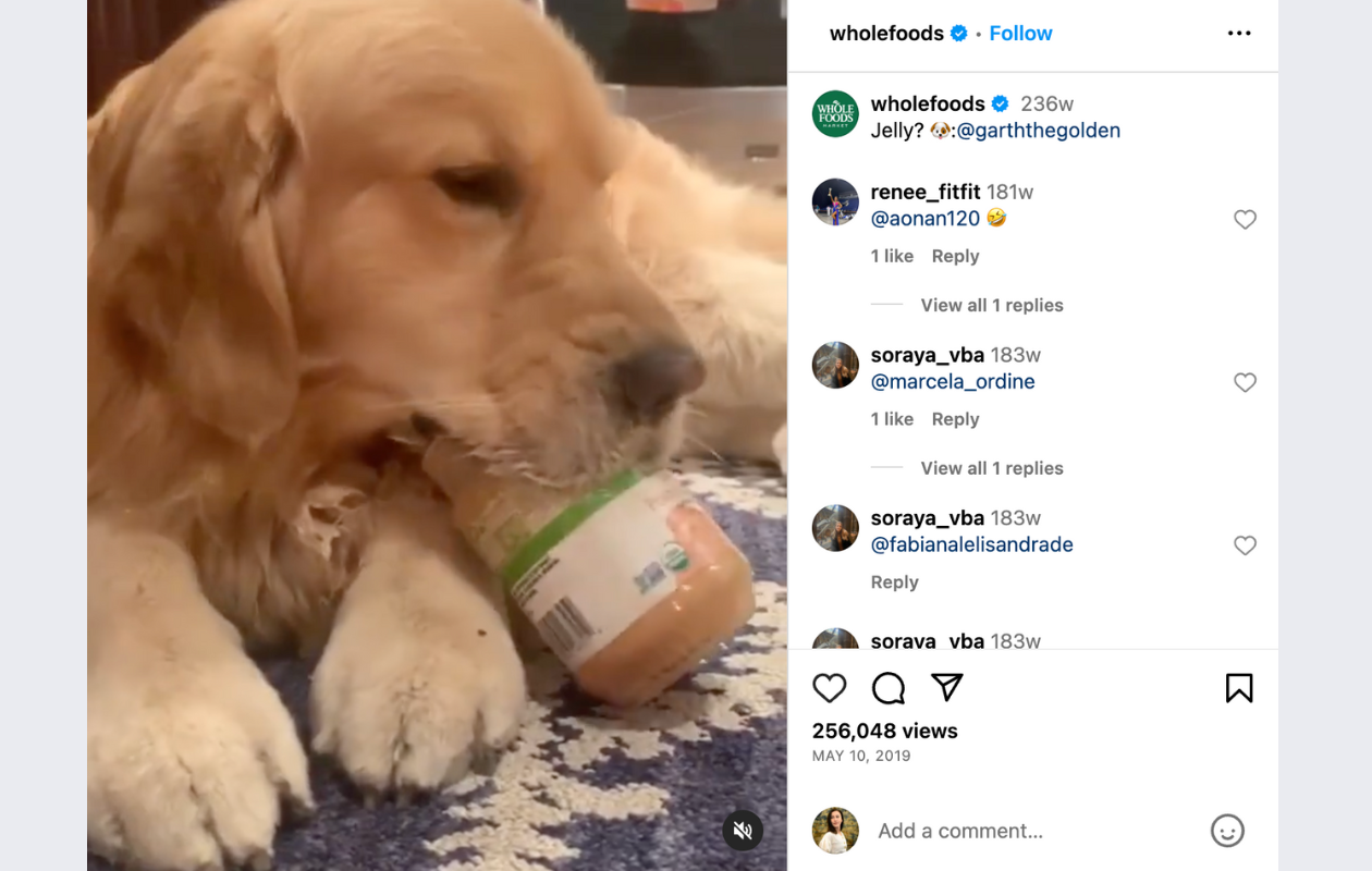 screenshot from wholefoods with a golden retriver licking a jar of peanut butter