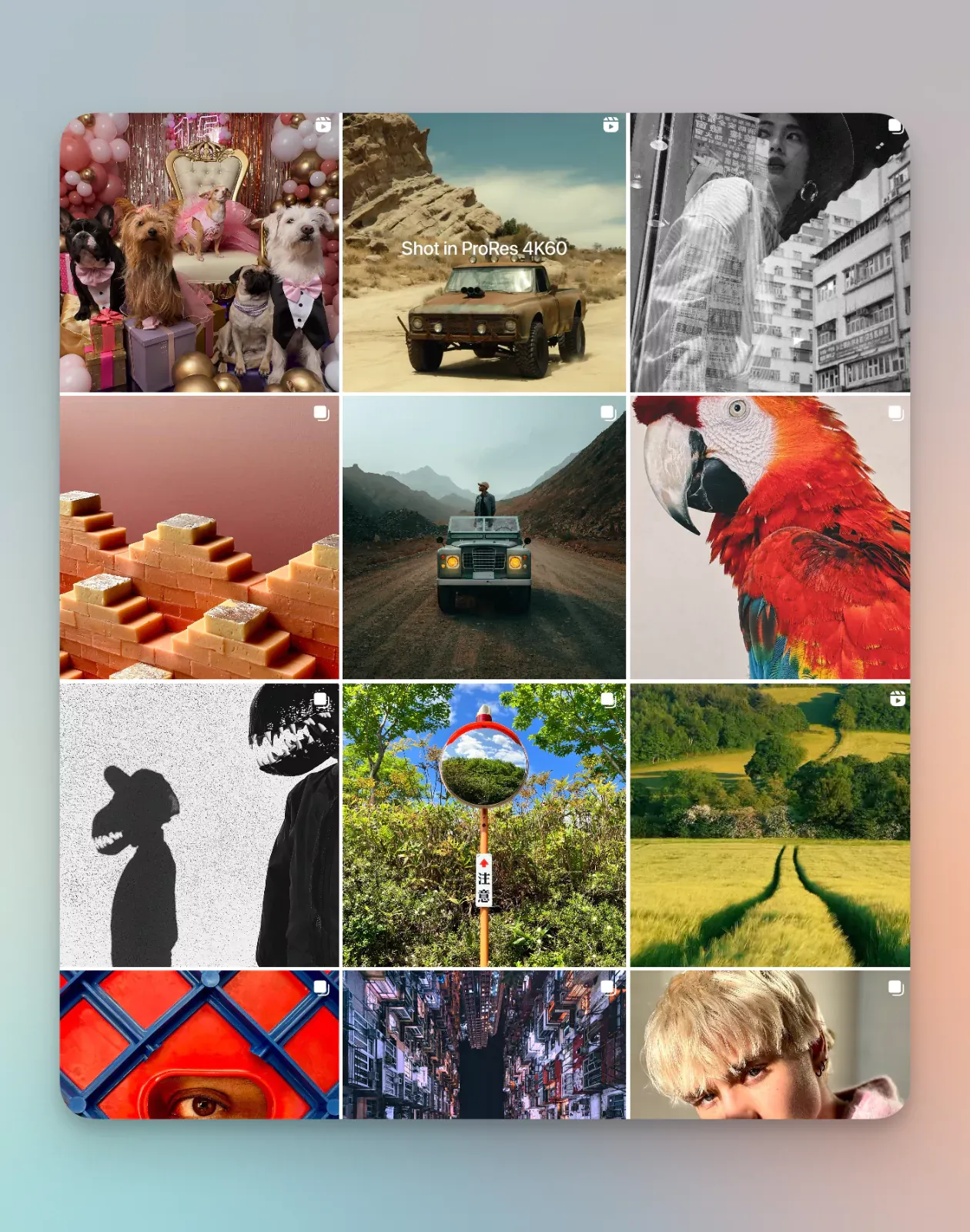 Here is a screenshot from Apple's Instagram feed that highlights its main content pillars themes