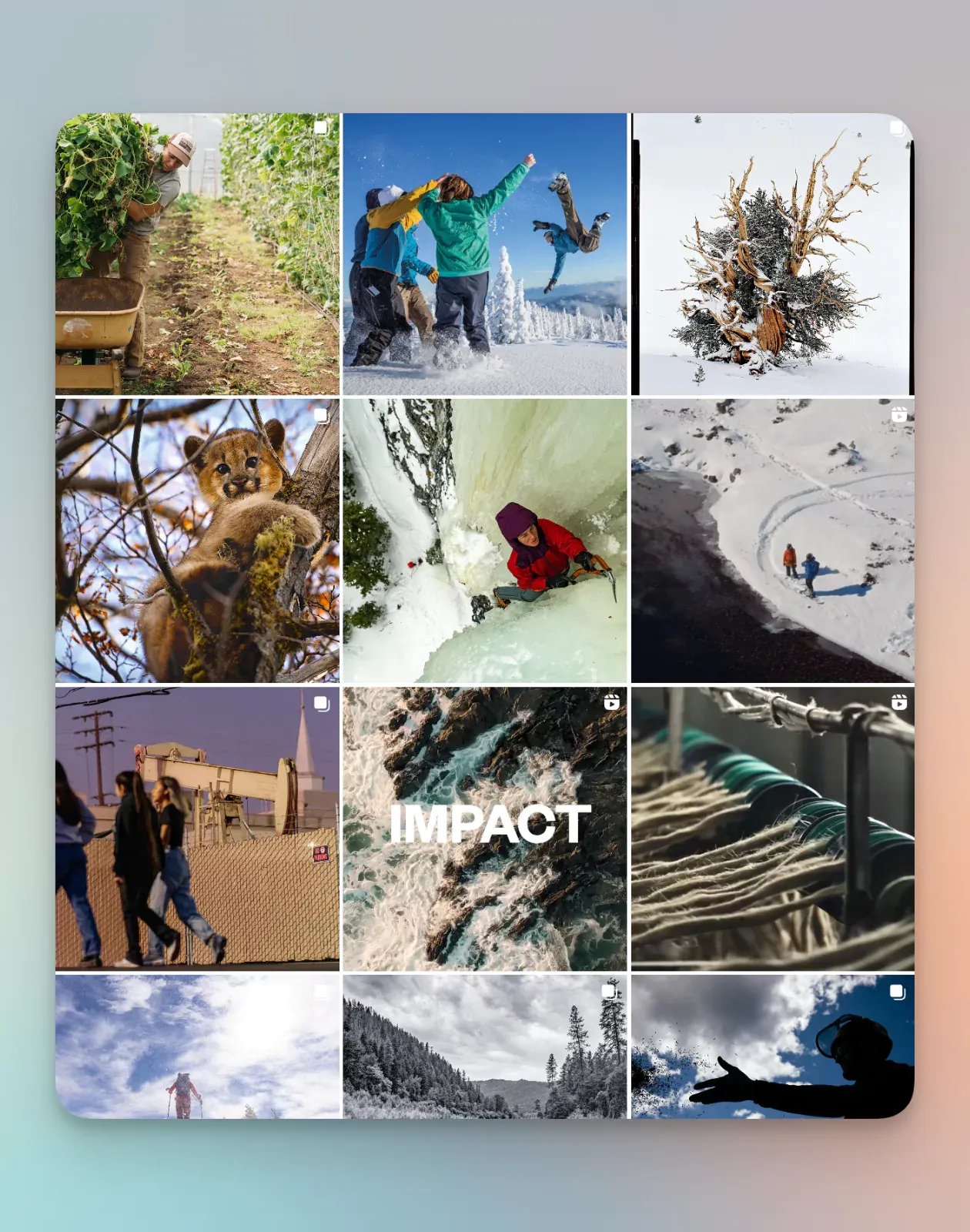 Here is a screenshot displaying Patagonia's Instagram feed that portrays its main social media content pillars