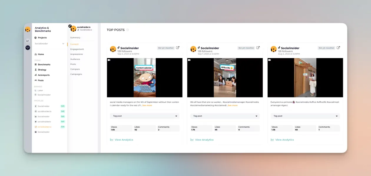 Here you can see how to use Socialinsider's dashboard to analyze the performance of your TikTok videos and Stitches