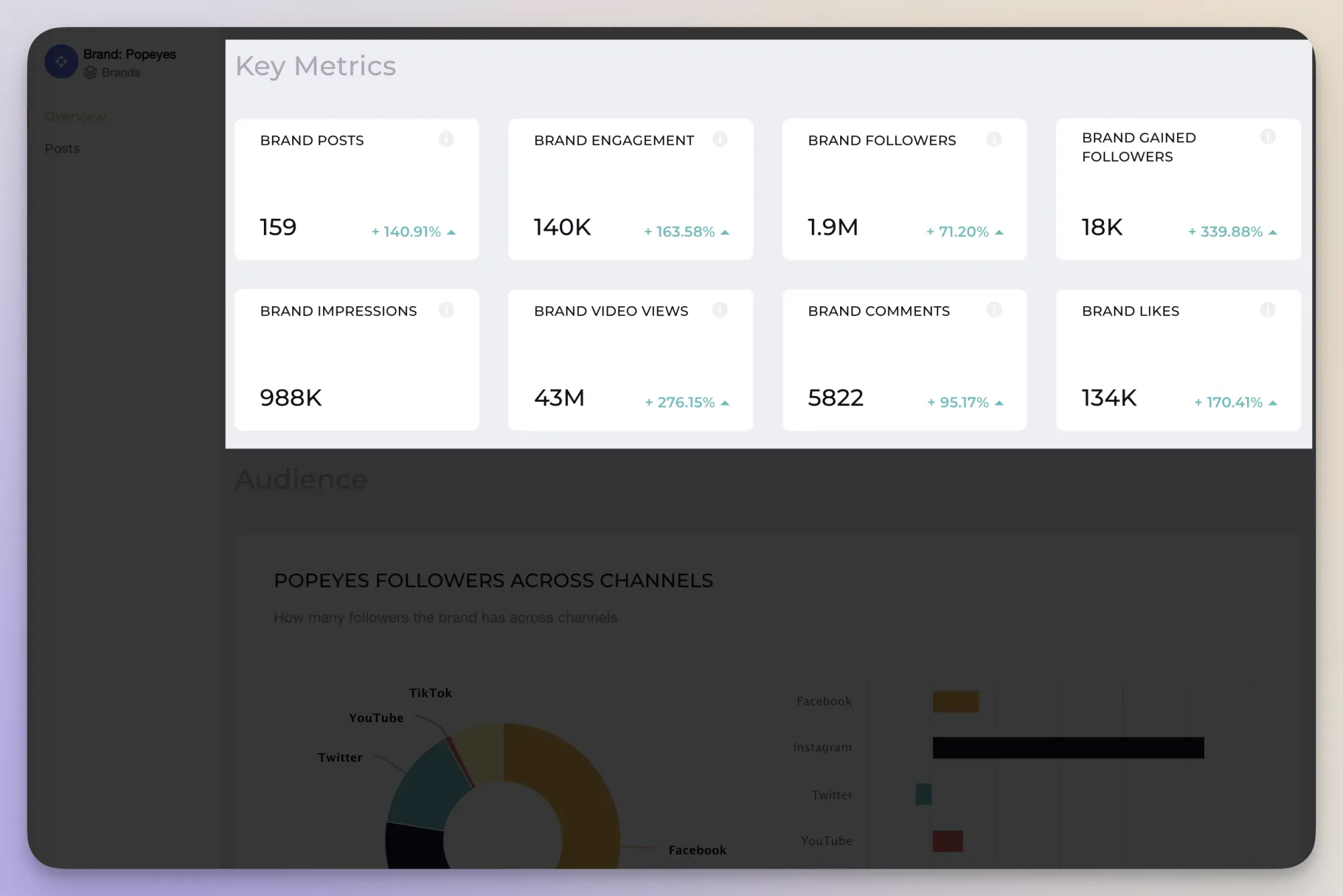 Socialinsider gives you a bird’s eye view of social media analytics