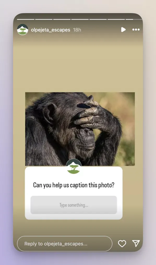 Instagram story idea - caption this contest