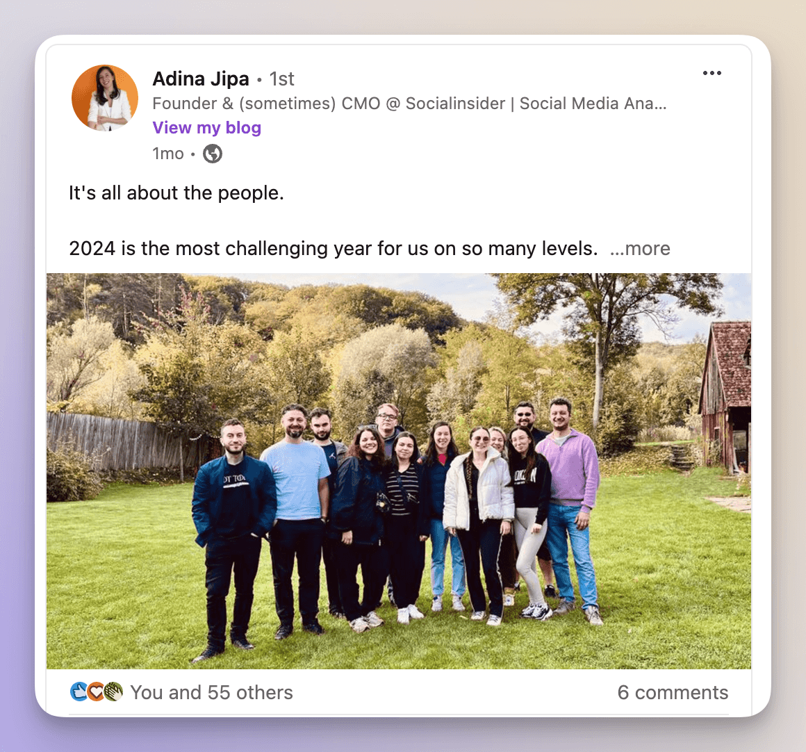 adina jipa linkedin post