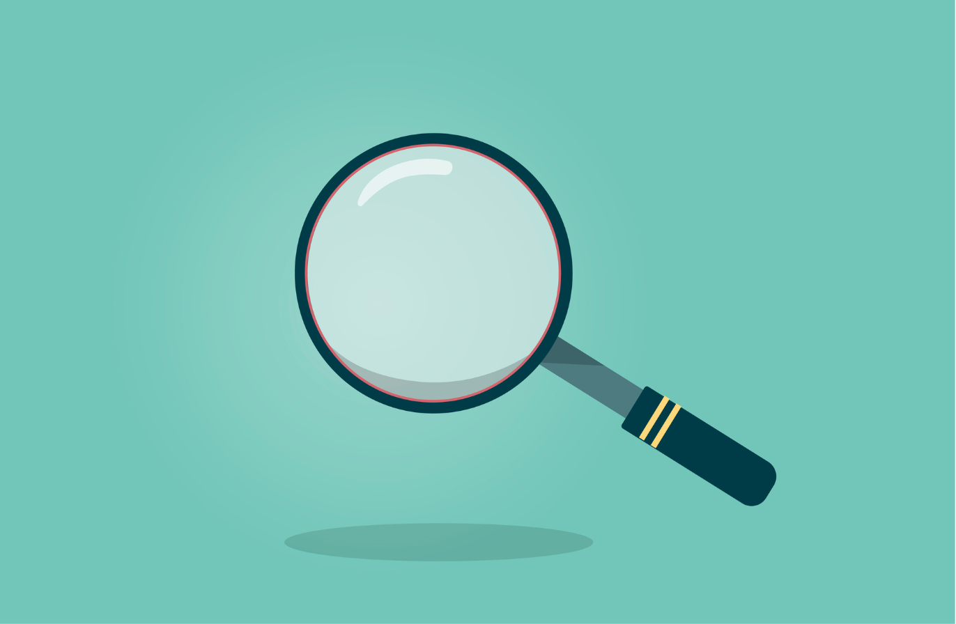 social media audit