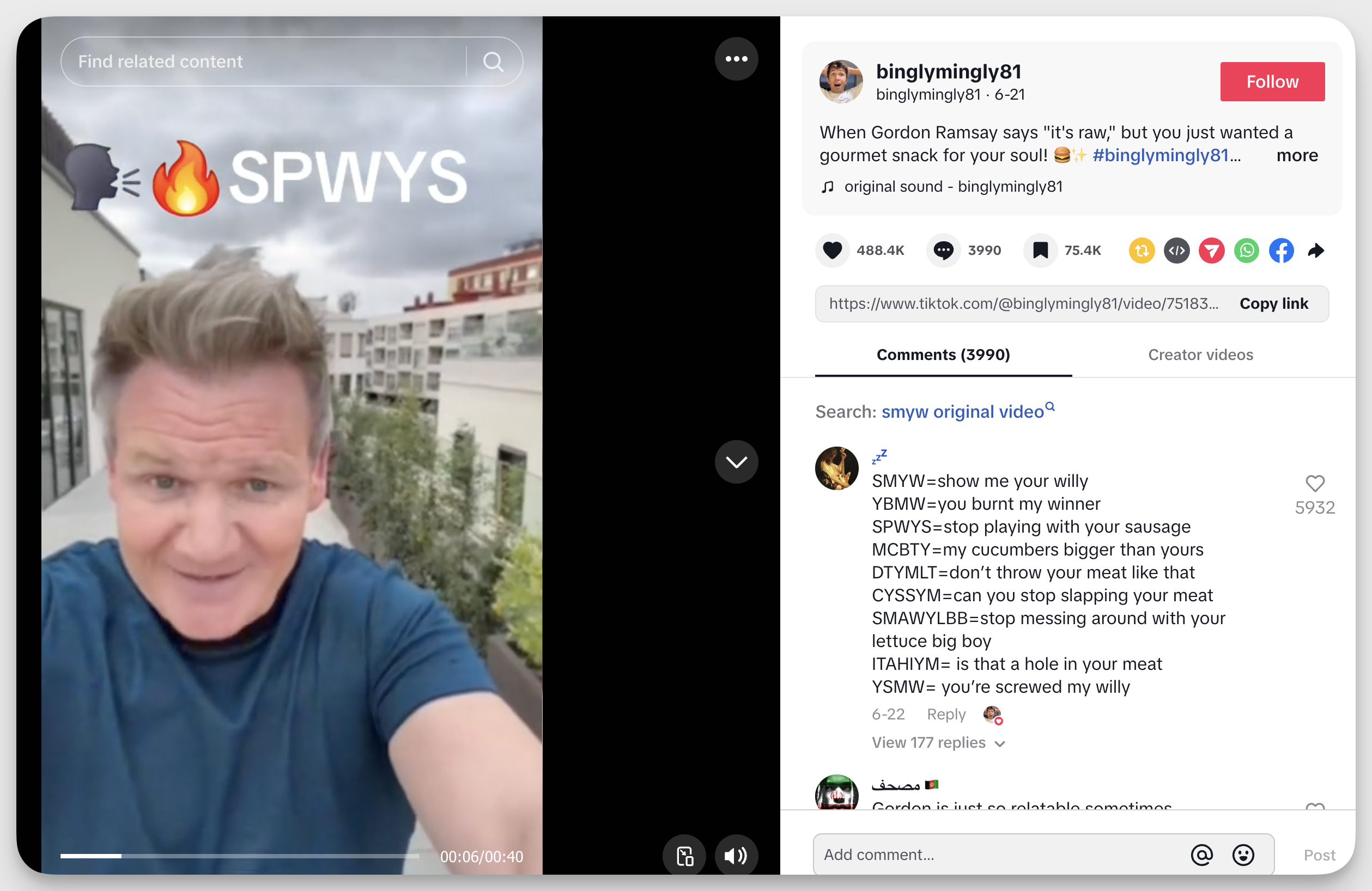 Gordon Ramsay Slang Memes