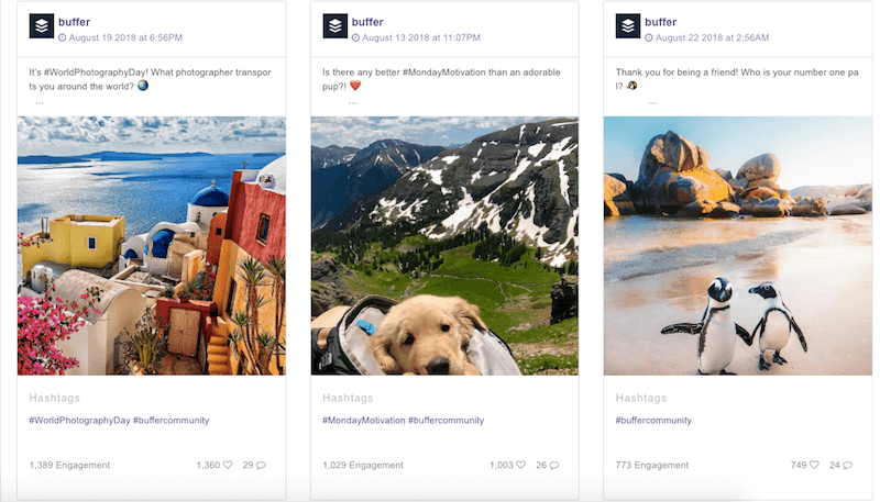 Top posts - Socialinsider dashboard