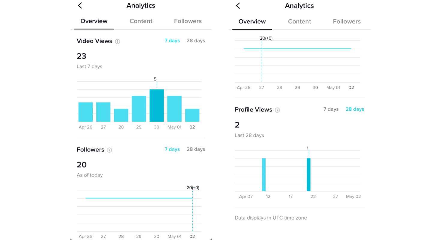 TikTok analytics overview
