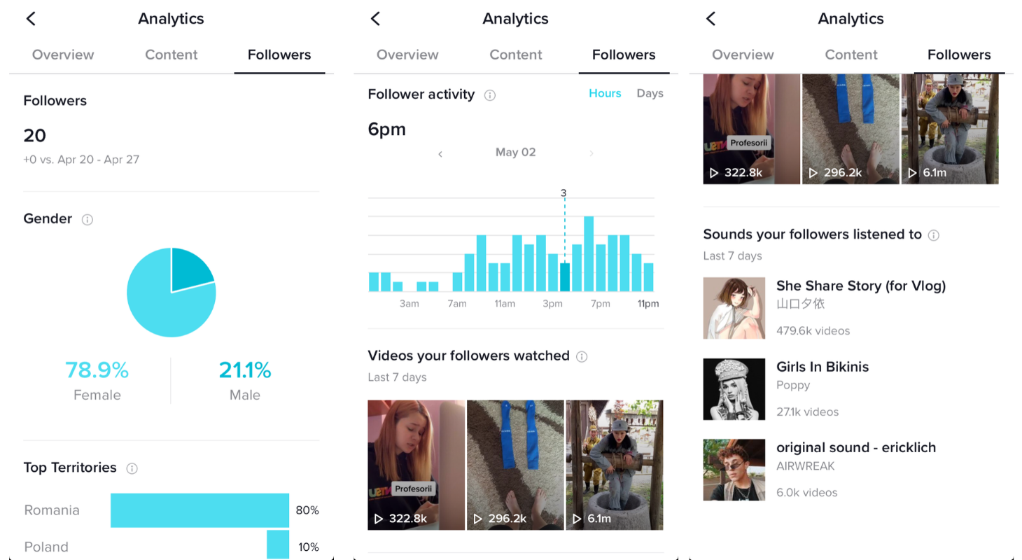 TikTok followers insights